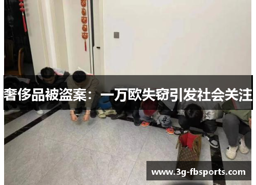 奢侈品被盗案：一万欧失窃引发社会关注